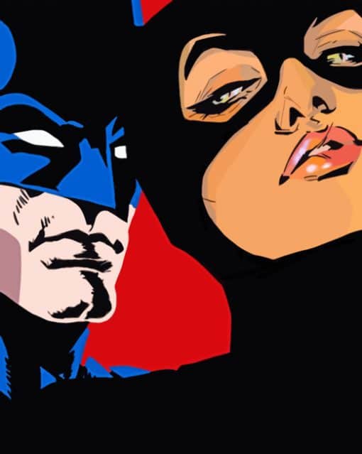 Batman And Batwoman paint By Numbers