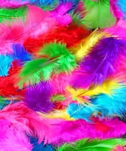 Beautiful Colorful Feather paint by numbers