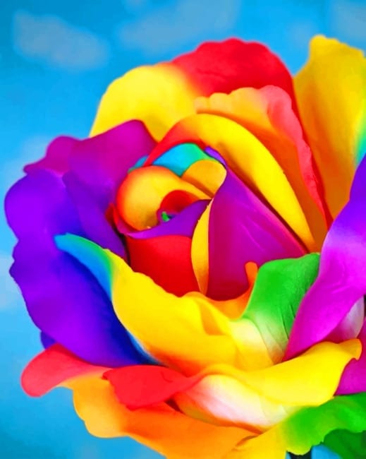 Beautiful Rainbow Rose paint by numbers