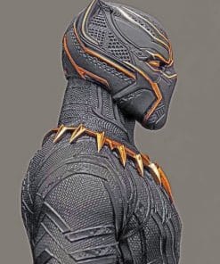 Black Panther paint by numbers
