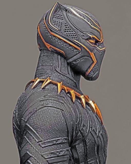 Black Panther paint by numbers