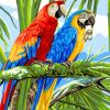 Caribbean Parrots paint By Numbers