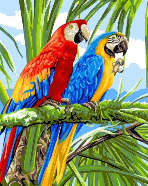 Caribbean Parrots paint By Numbers