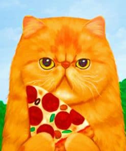 Cat Eating Pizza paint by numbers