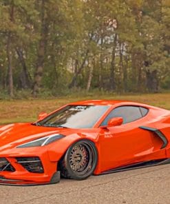 Chevy Corvette Widebody paint by numbers