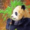 Panda Eating Leaves paint by numbers