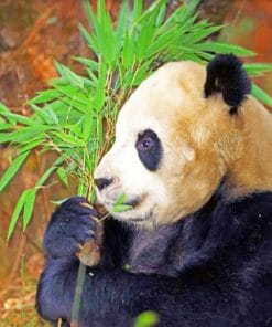 Panda Eating Leaves paint by numbers