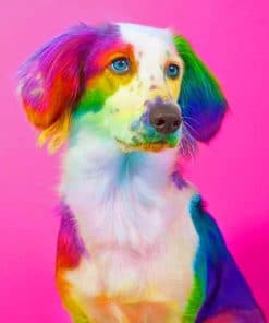 Colorful Dog paint paint by numbers