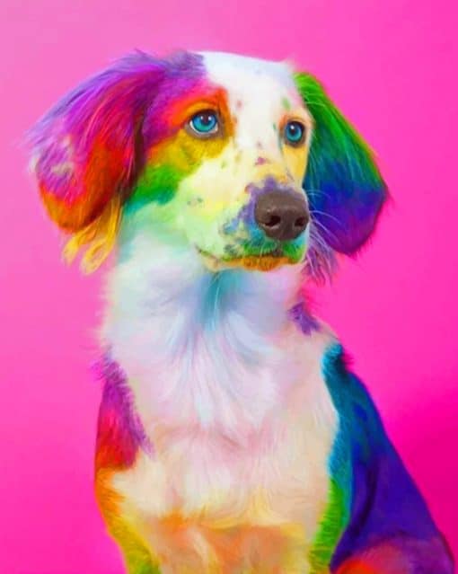 Colorful Dog paint paint by numbers