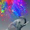 Colorful Elephant paint by numbers