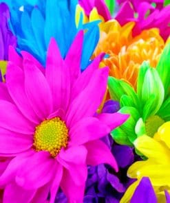 Colorful Flowers paint by numbers