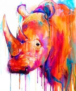 Colorful Rhino paint by numbers