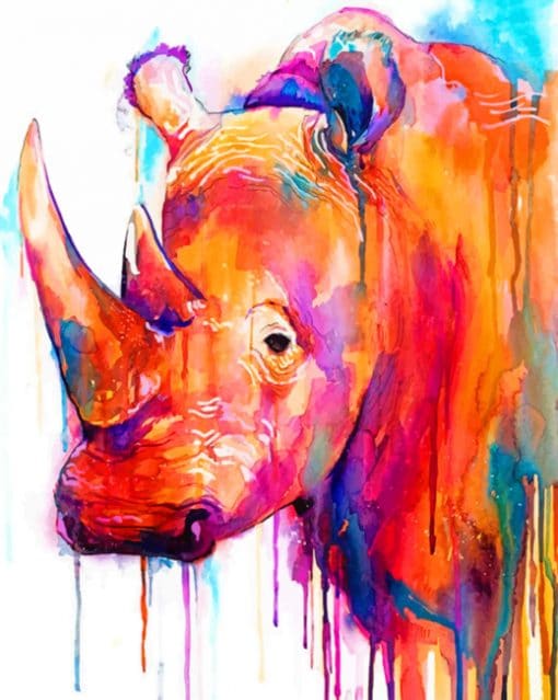Colorful Rhino paint by numbers