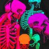 Colorful Skeleton paint by numbers