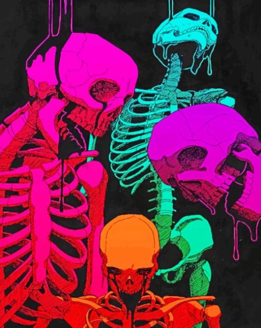 Colorful Skeleton paint by numbers
