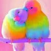 Cute Rainbow Birds paint by numbers