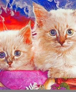 Cute Cats paint By Numbers