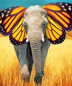 Elephant With Butterfly Ears paint by numbers