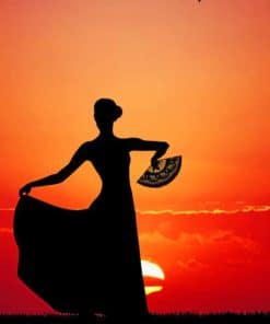 flamenco Dancer Silhouette paint by numbers