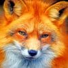 Fox Portrait paint By Numbers