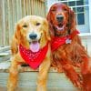 Irish Setter And Golden Retriever paint By numbers