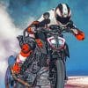 Ktm Duke Rider paint by numbers
