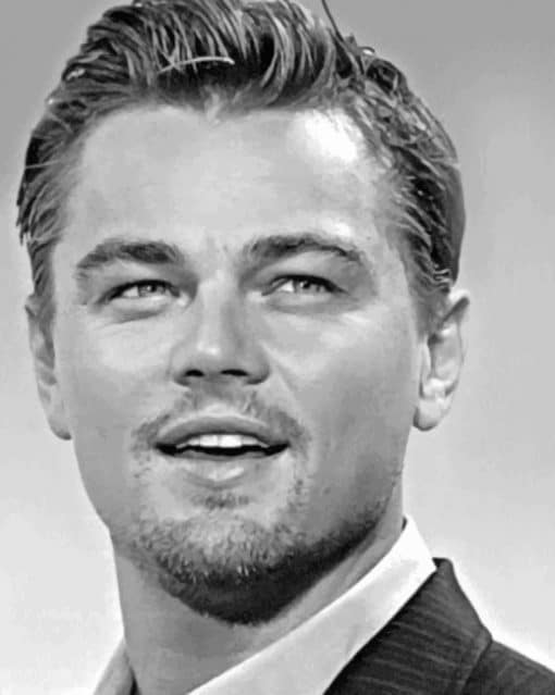 Leonardo Dicaprio Paint by numbers