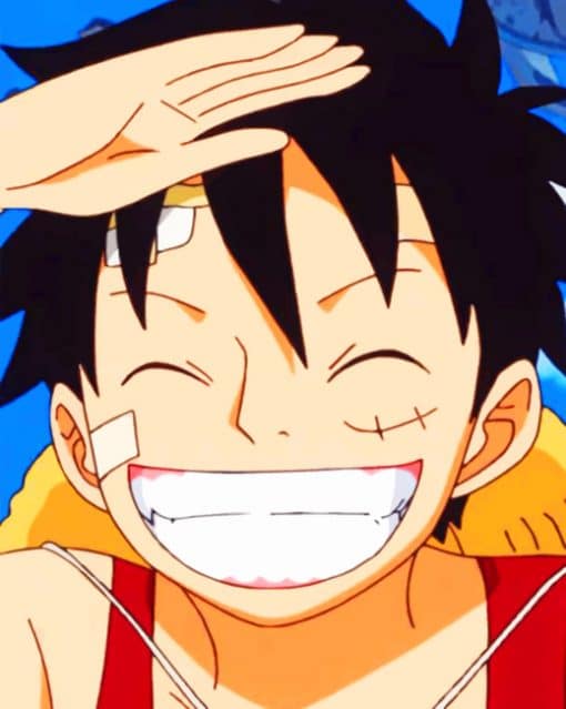 Luffy Sorriso paint by numbers
