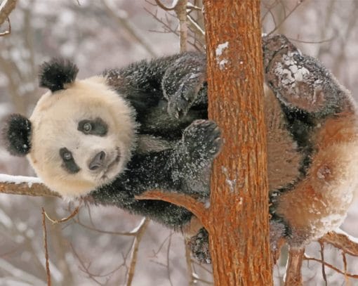 Panda On A Tree paint by numbers