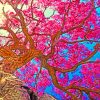 Pretty Tree paint by numbers