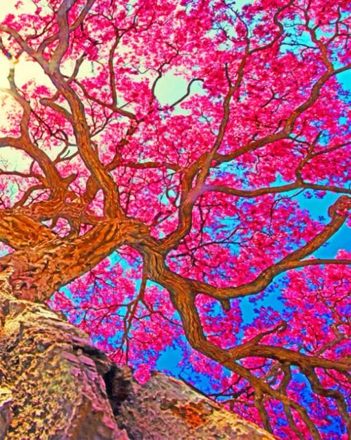 Pretty Tree paint by numbers