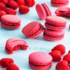 Raspberry Macarons paint by numbers