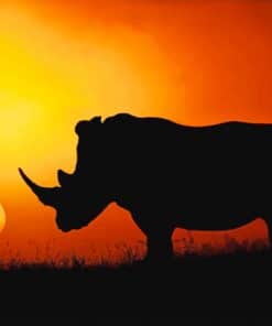 Rhino In Sunset paint by numbers