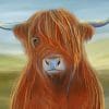 Scottish Highland Cows paint by numbers