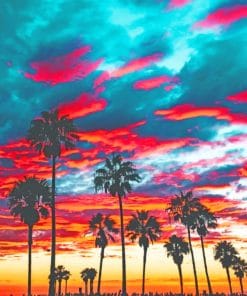 Sunset Palm Trees paint By Numbers