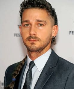 Shia Labeouf paint by numbers