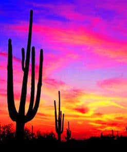 Silhouette Of Cactus paint by numbers