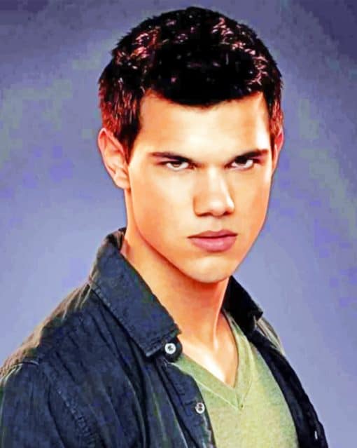 Taylor Lautner paint by numbers