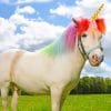 Unicorn Horse paint by numbers