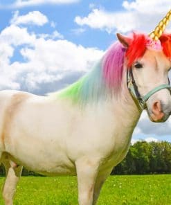 Unicorn Horse paint by numbers