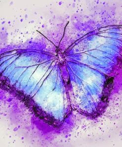 watercolor Purple Butterfly paint by numbers