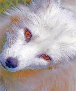 White Fox With Red eyes paint By numbers