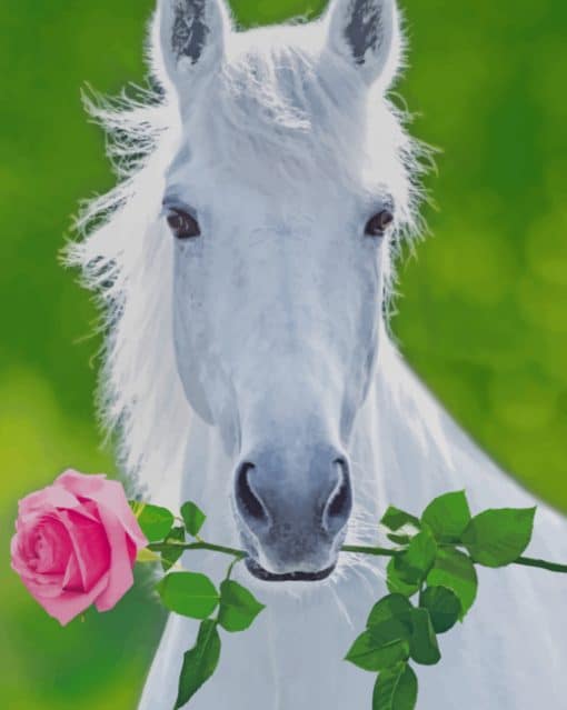 White Horse Holding Pink Flower paint by numbers