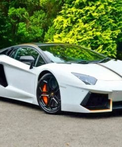 White Lamborghini paint By numbers
