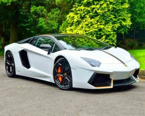 White Lamborghini paint By numbers
