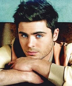 Zac Efron paint by numbers