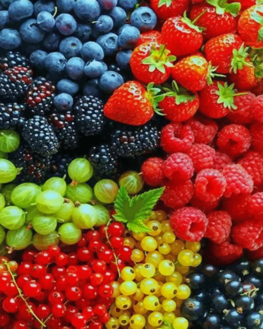 Aesthetic Fruits paint By Numbers