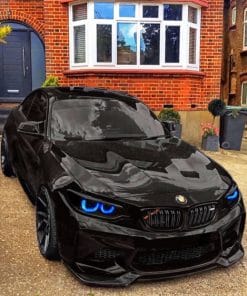 Black Bmw M2 paint By Numbers