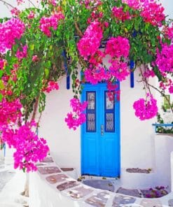 Blue Door With Flowers paint by numbers