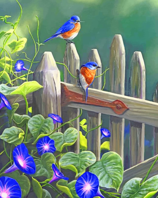 Eastern Blubirds Paint by numbers